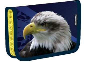 Пенал Eagle без наполнения