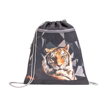 Ранец Click Tiger с наполнением 